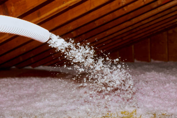 Best Insulation Maintenance and Repair in Doa Ana, NM